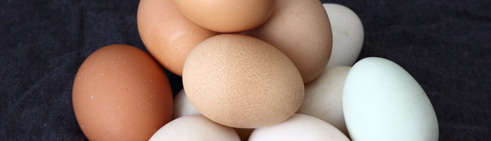 Pile of chicken eggs sitting on a dark table